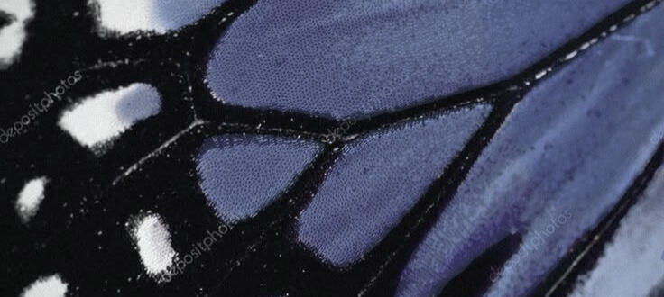 zen. — basic info about me.