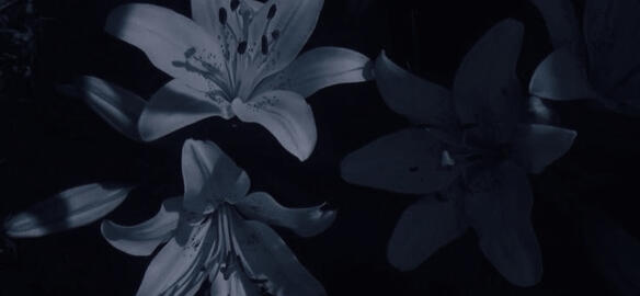 fate can be truly arbitrary.