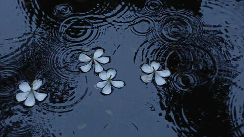 people forget that love is also a form of sin.